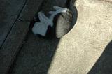 20050204_Kitty Kat_048